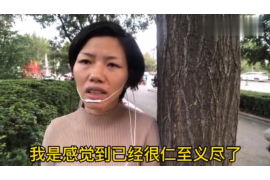 合江企业清欠服务